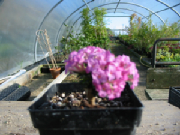 105-0506_img.jpg