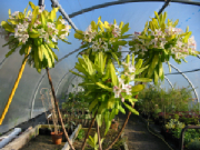 105-0509_img.jpg