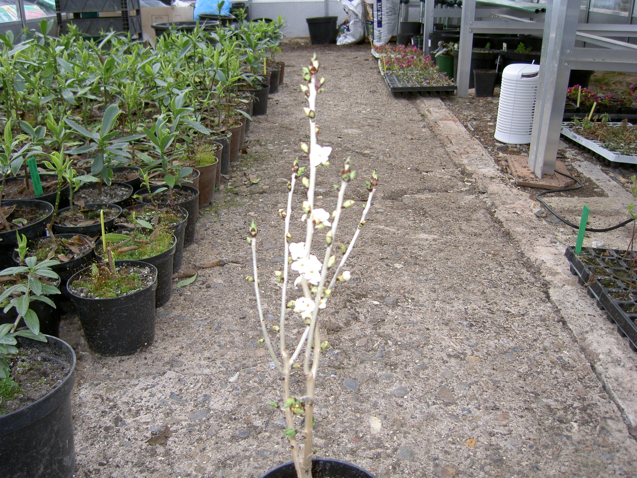 PICT0062.JPG