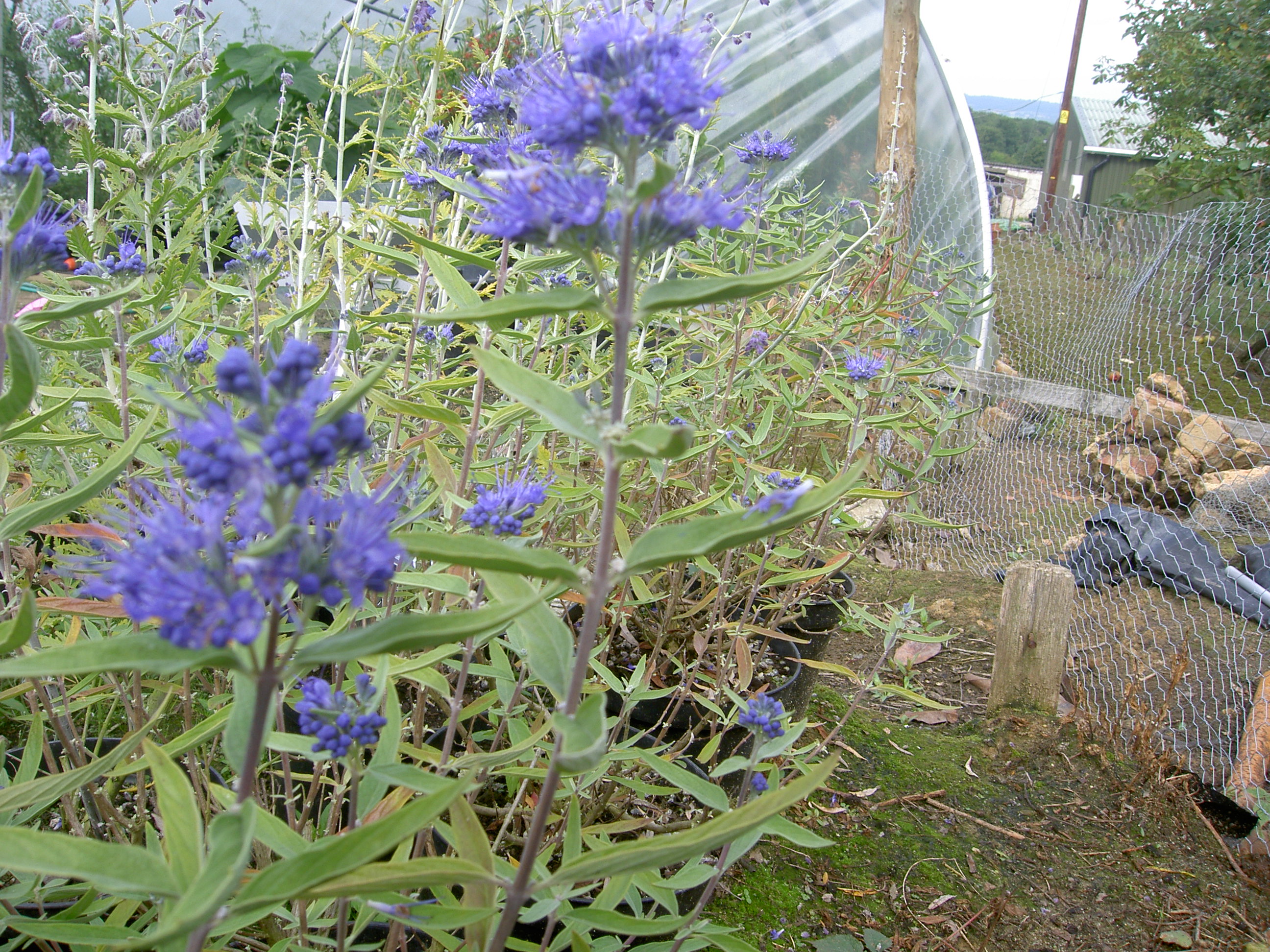 PICT0382.JPG