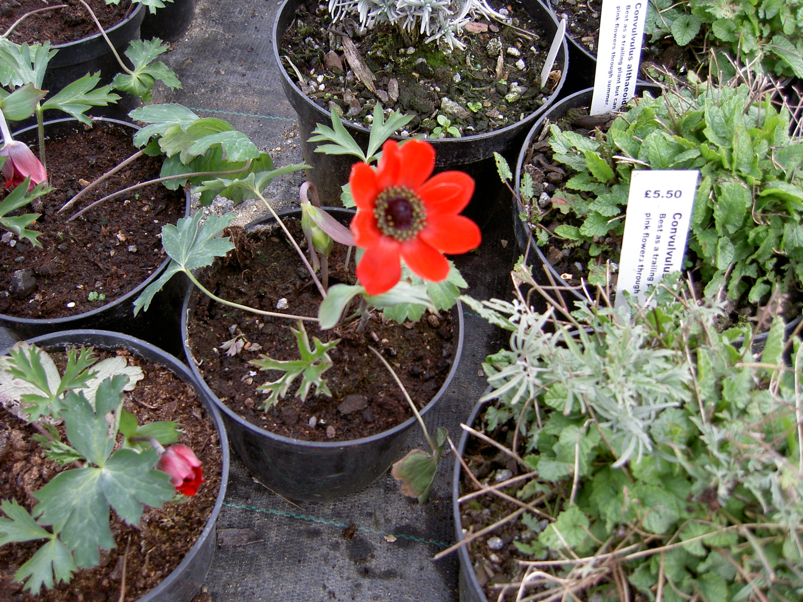 PICT1124.JPG