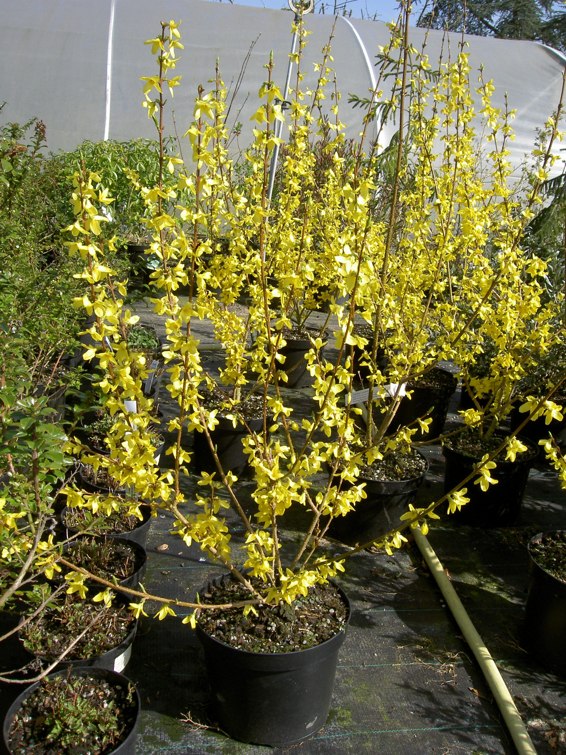 PICT1150.JPG