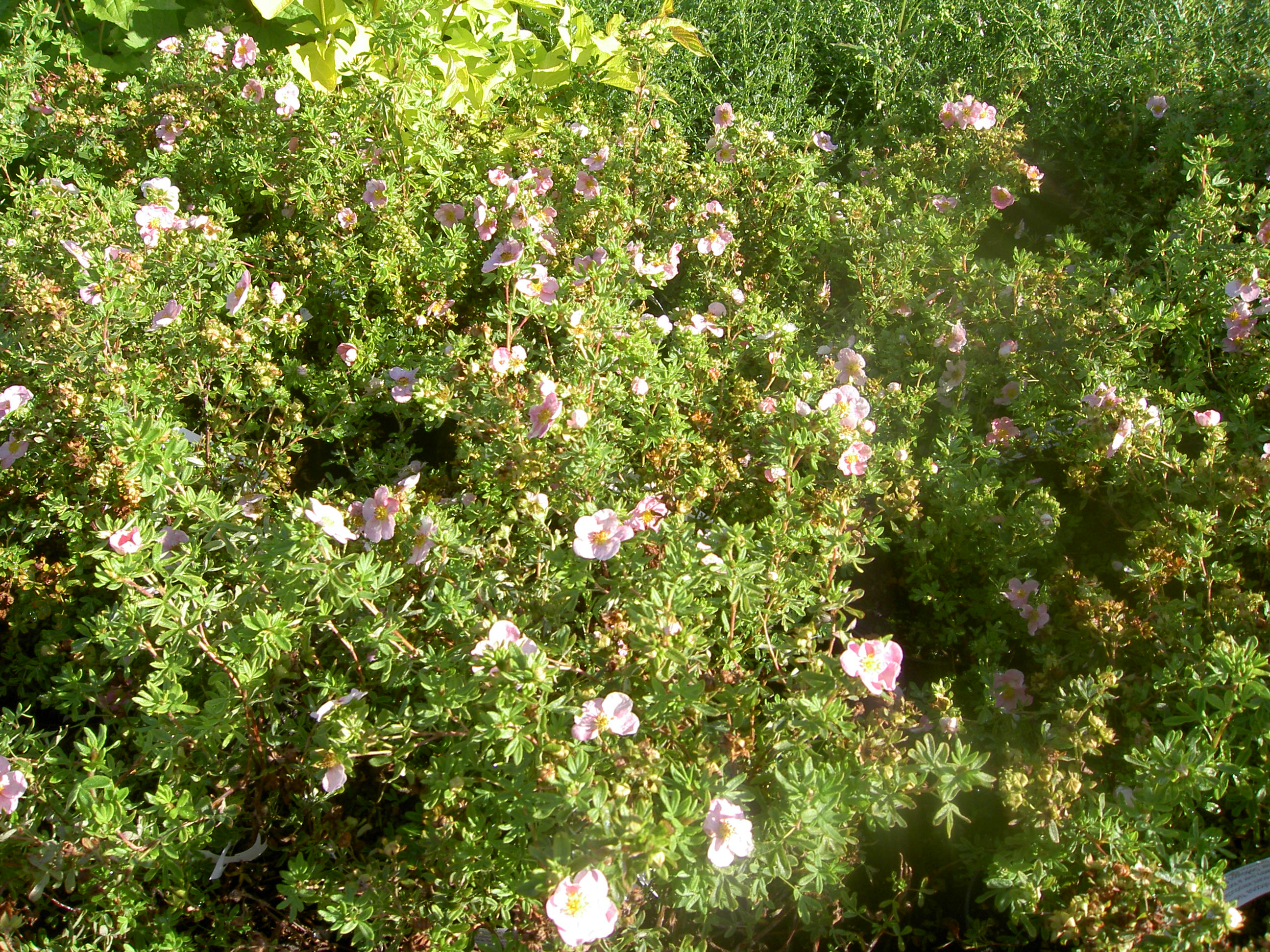 PICT2086.JPG