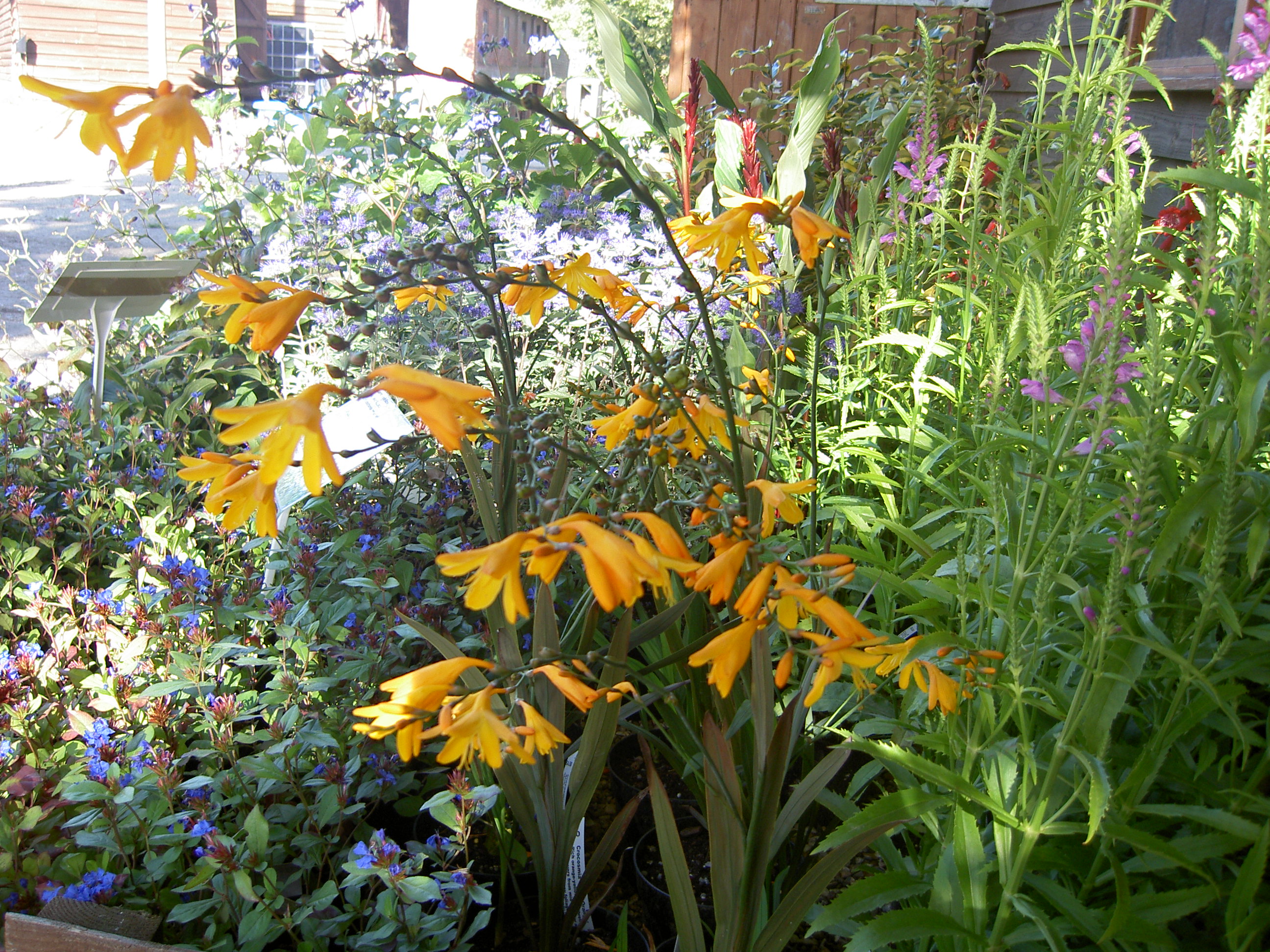 PICT2094.JPG