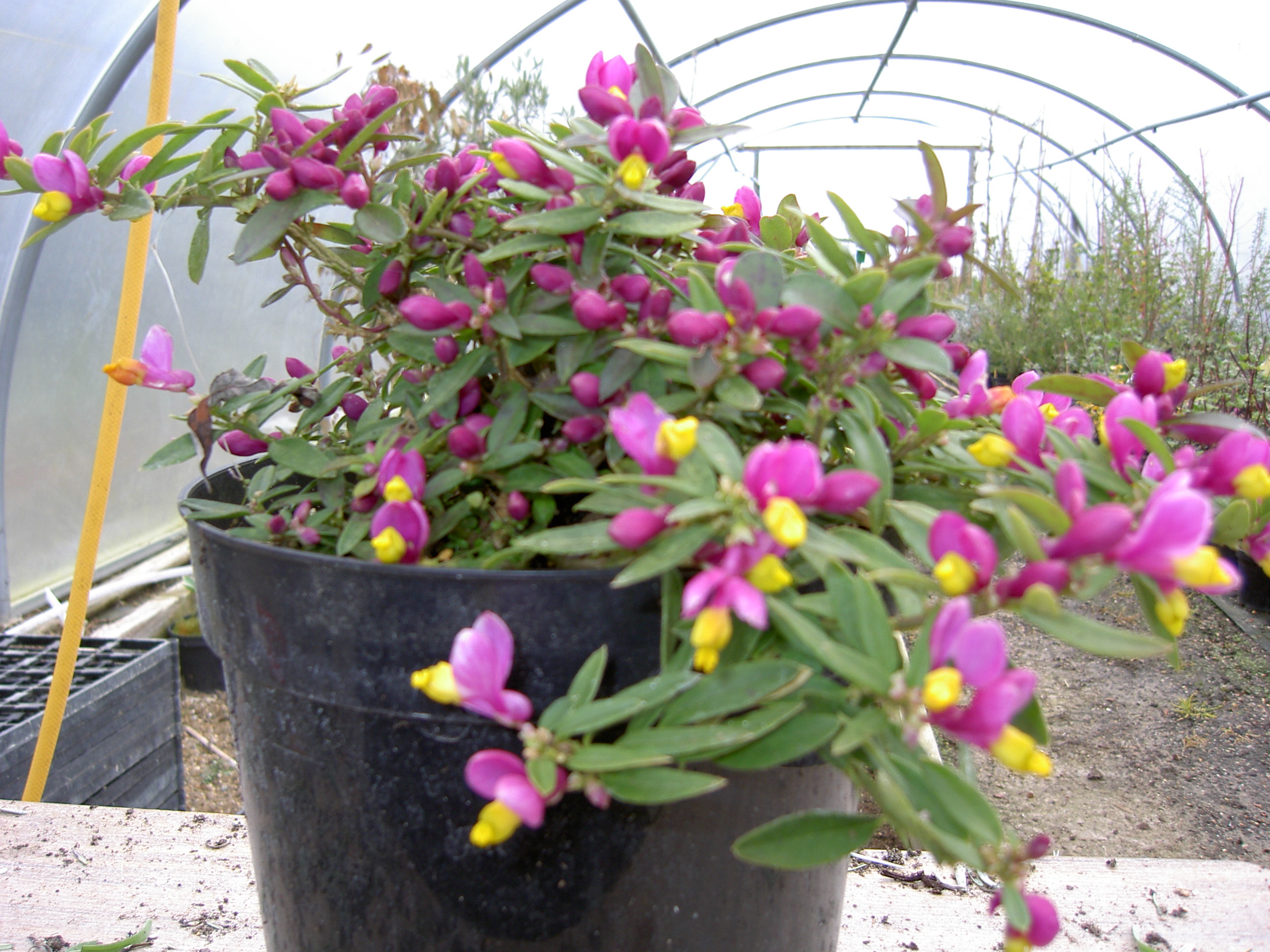 pict0059.jpg