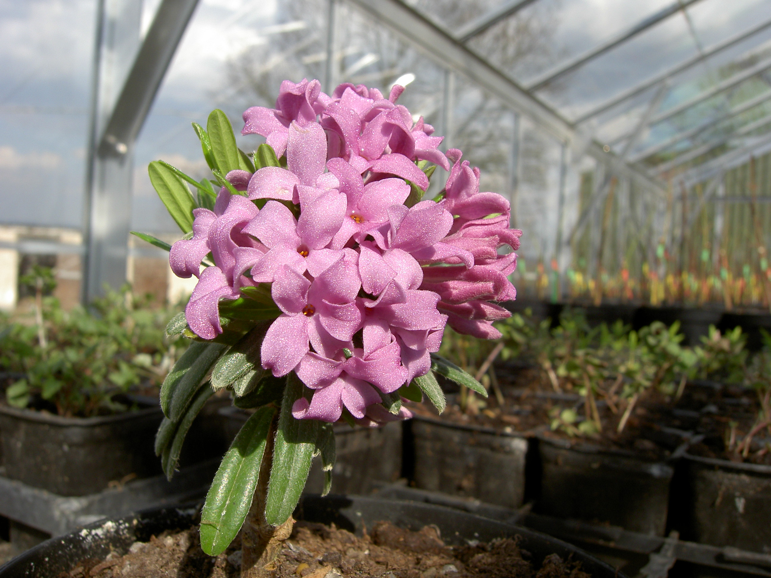 pict0098.jpg