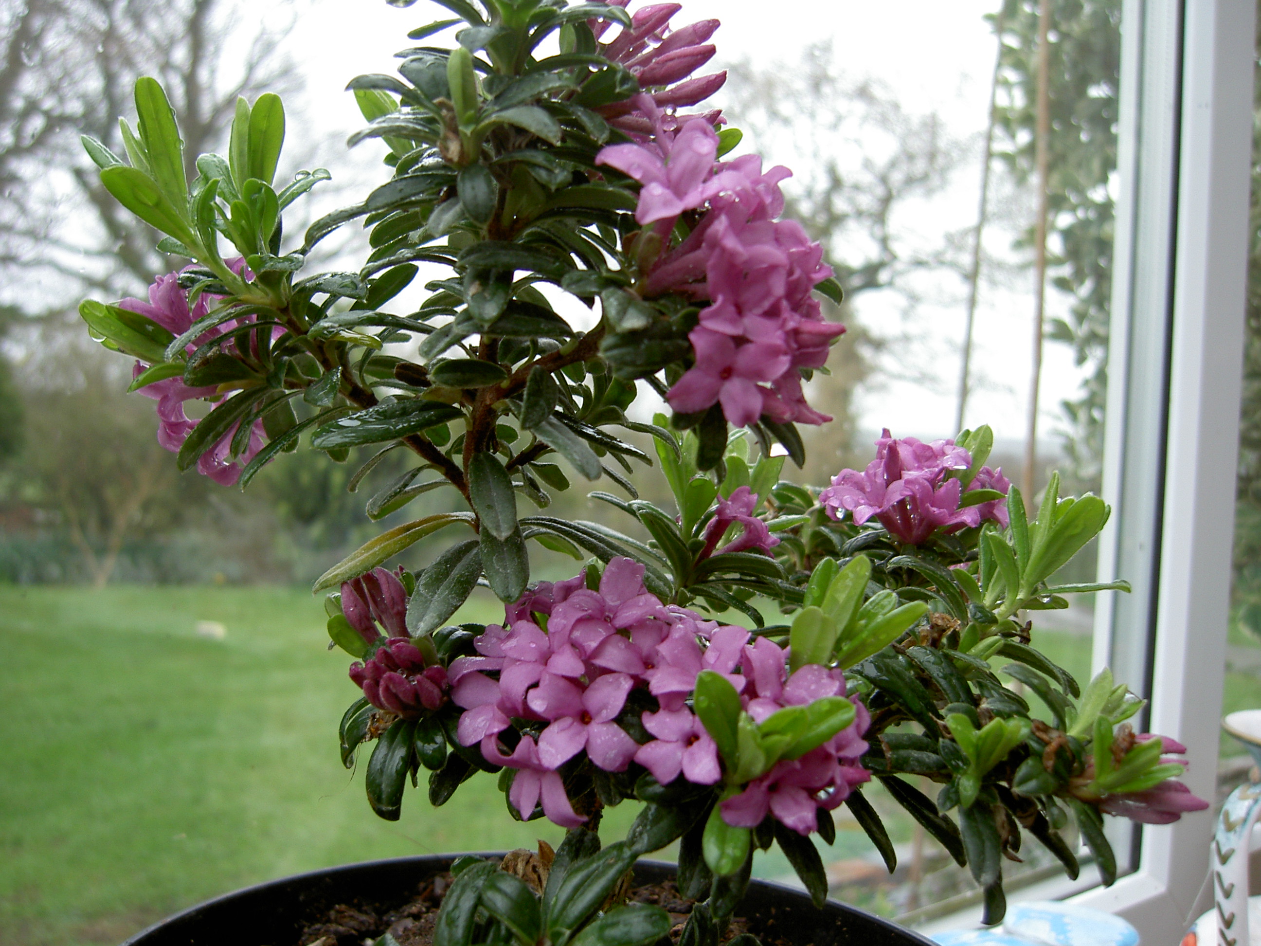 pict0109.jpg