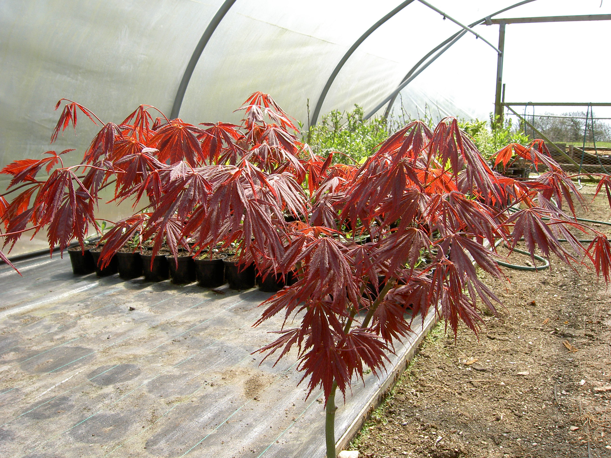 pict0113.jpg