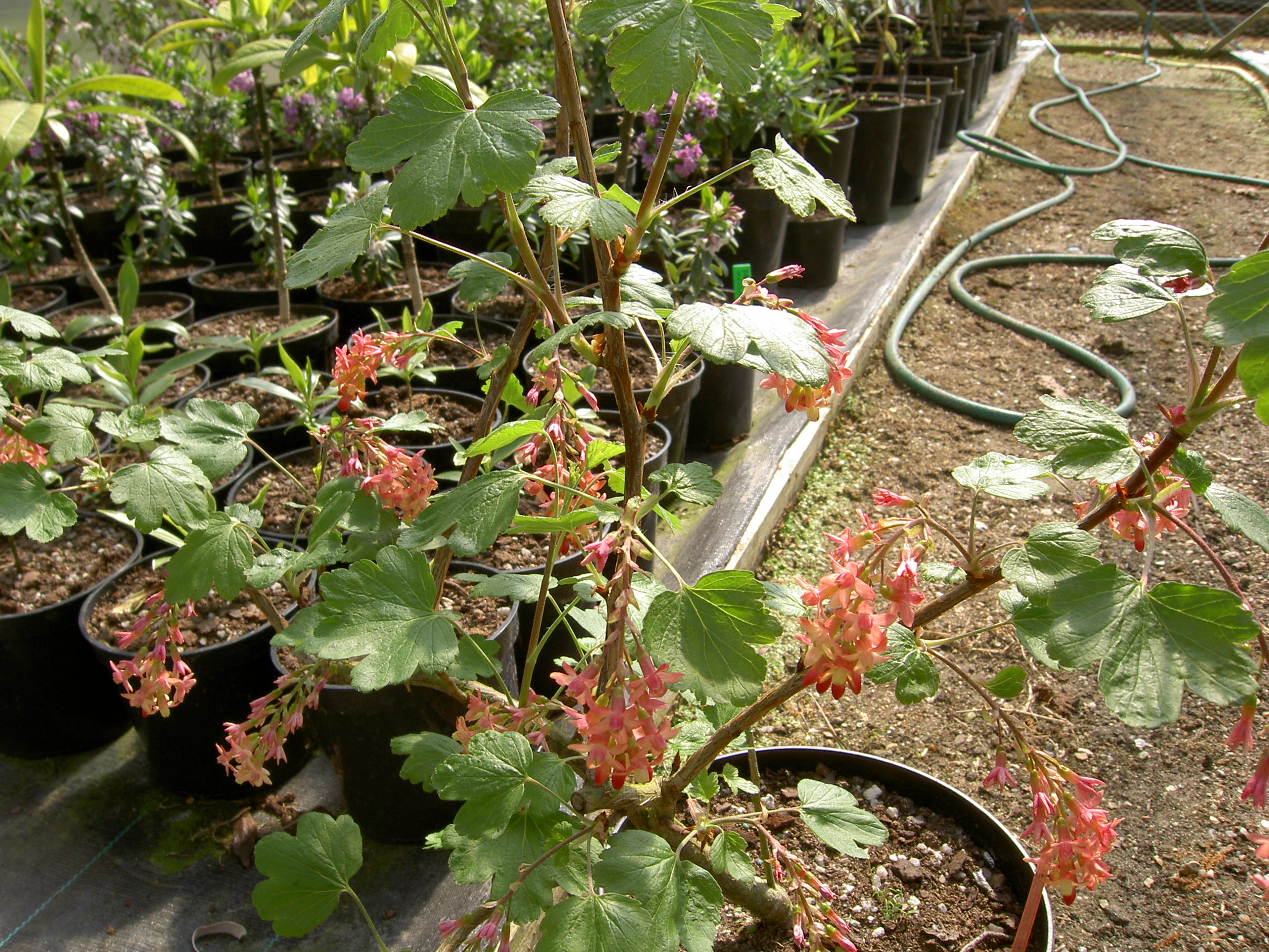 pict0124.jpg