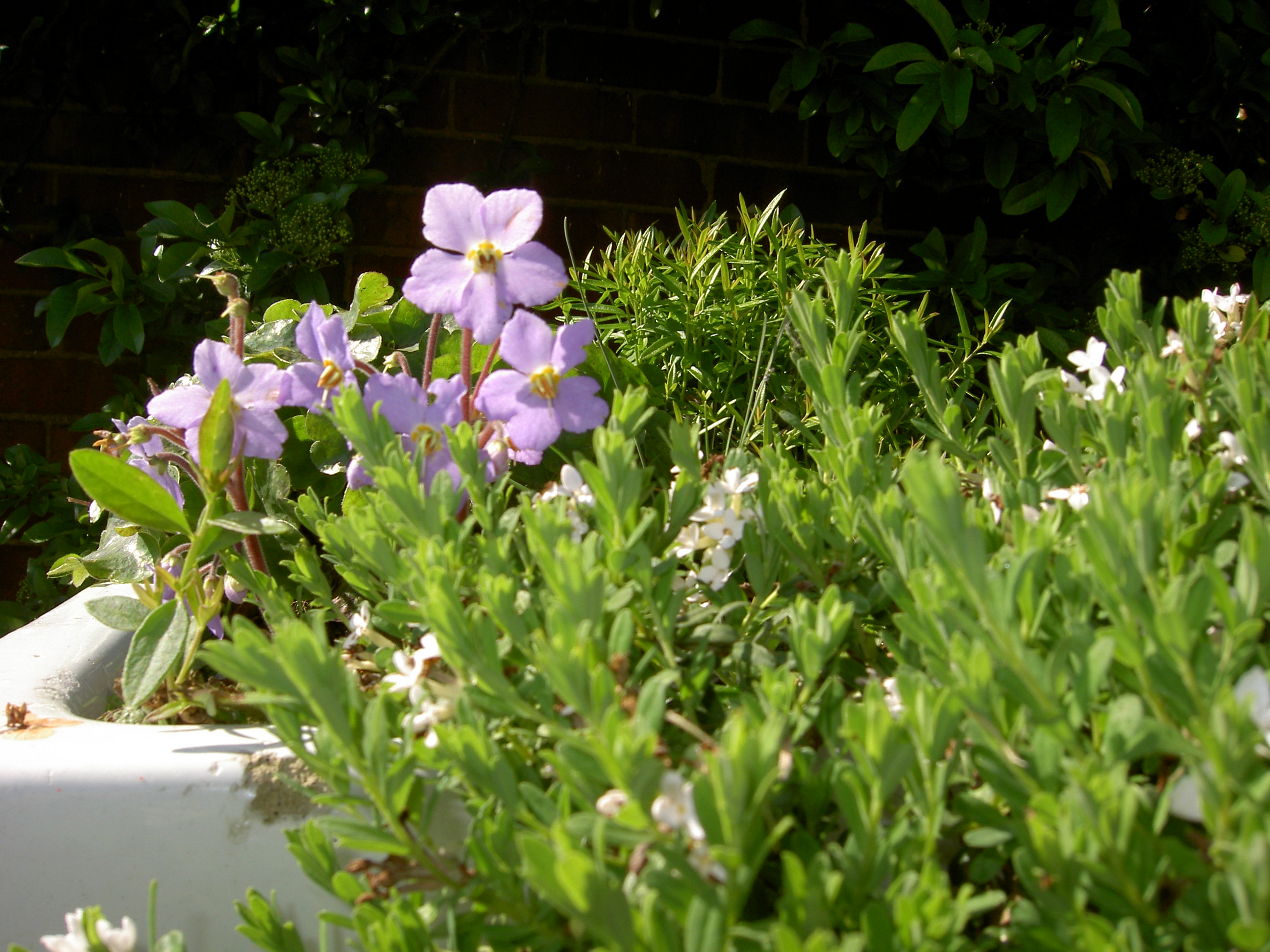 pict0740.jpg